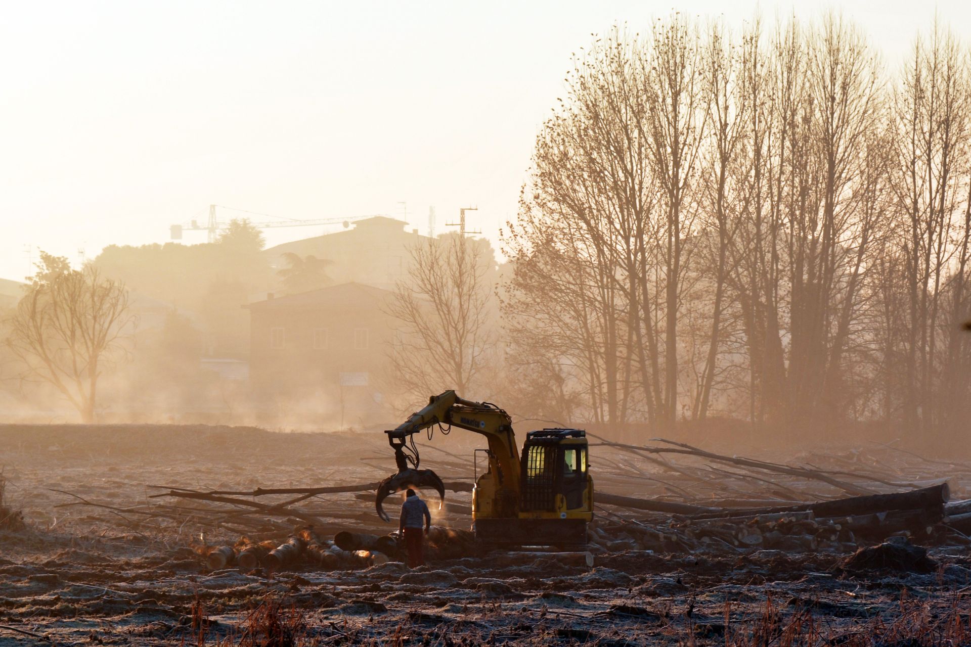 Excavator working in a misty field at golden hour